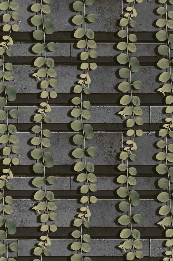 Modern Ivy