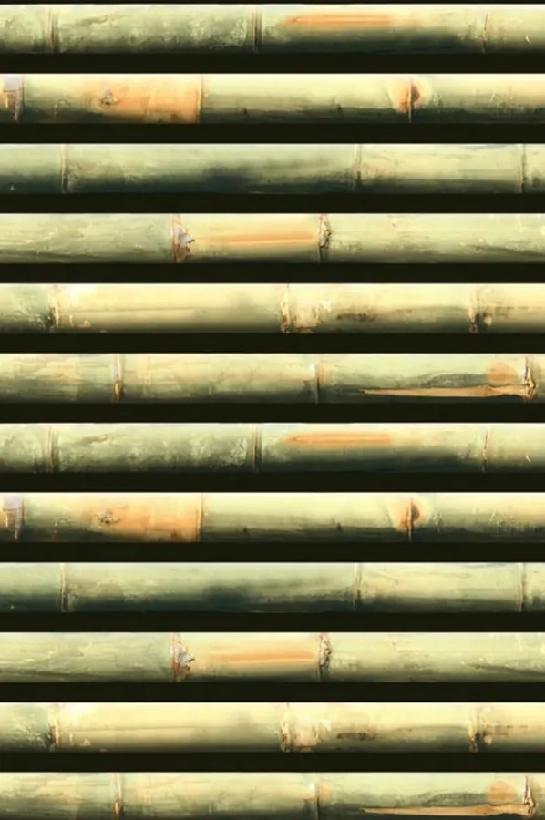 Roll Bamboo