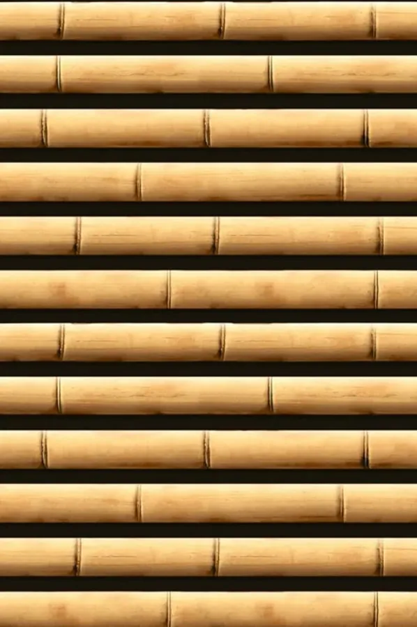 Roll Stick