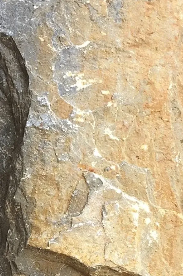 Terra Stone