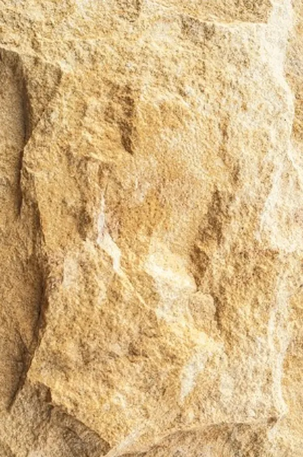 Terra Sandy