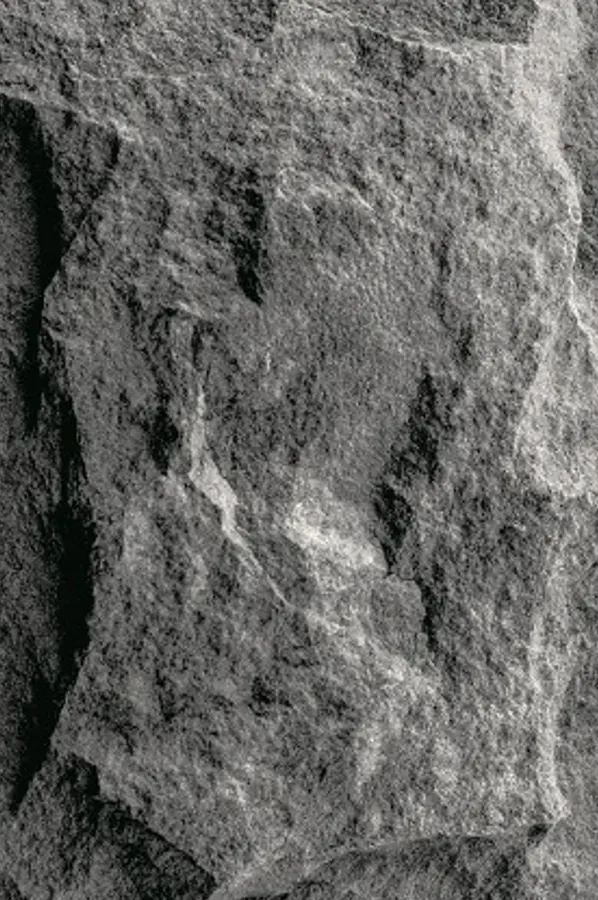 Terra Graphite