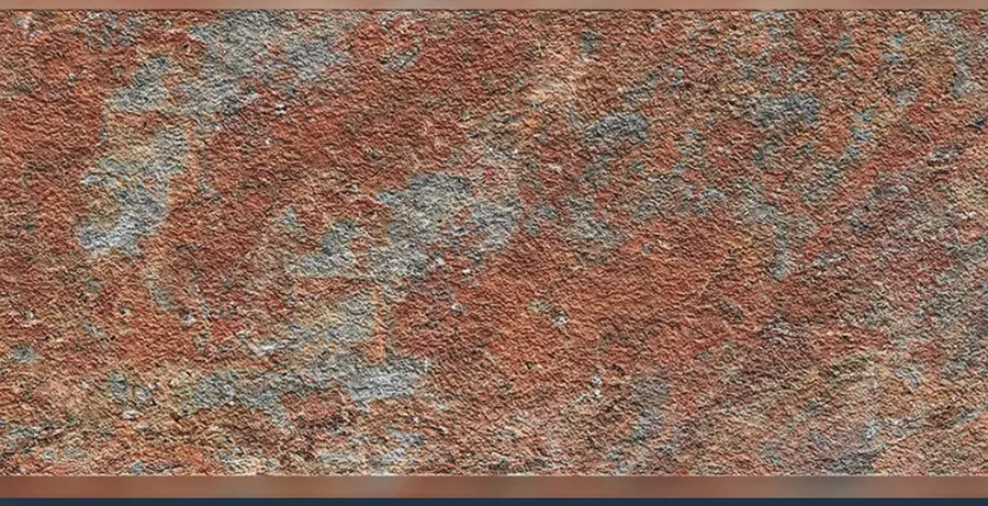 Touch Rust